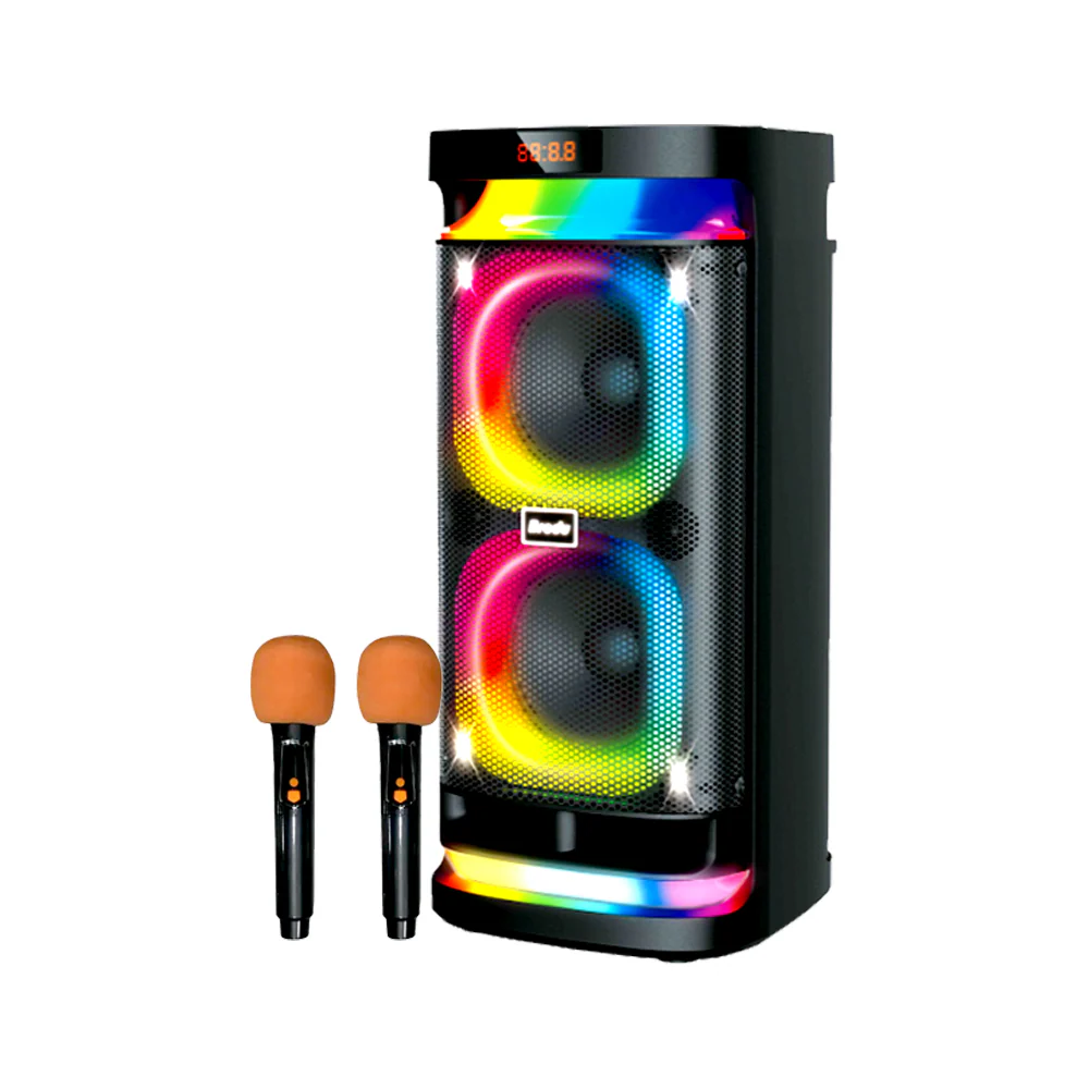 Brodu BTS-1989 6.5″inch Wireless speaker  2xWL MIC 6.5" x2